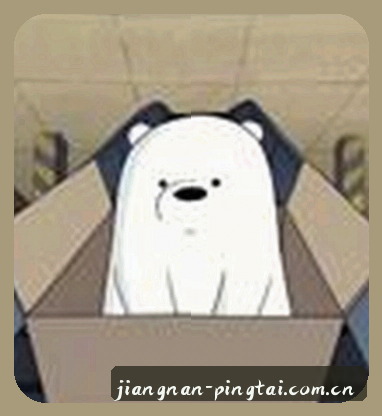 张强